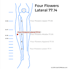 catstcmnotes com four flowers lateral or sihuawai master