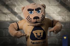 May 03, 2021 · deportista por pasión y vocación, fue centrocampista y su primer equipo fue el pumas unam de la primera división de méxico en 1979 convirtiéndose en el máximo goleador mexicano del club con. Pumas Lanza Su Tercer Uniforme Para El Guard1anes 2021