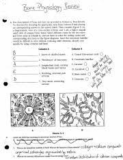 Contains many osteocytes within lacunae organized around blood vessels. Physiology Key 5 Five Descriptions Of Bone Structure Are Provided In Column A First Identify The Structure By Choosing The Appropriate Term From Course Hero