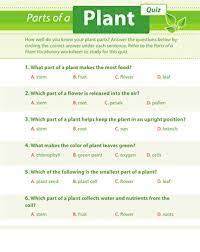 Download disney trivia questions printable. Plant Quiz Worksheet Education Com