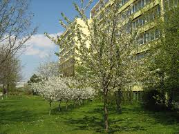 Lust auf den dritten lebensabschnitt. Senioren Wohnpark Leipzig Am Kirschberg