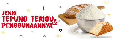 Terigu Dan Penggunaannya