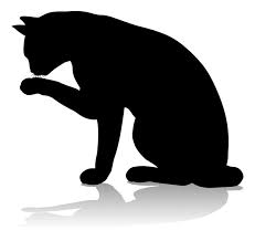 645 Cat Licking Paws Stock Vectors and ...