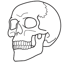 Lots and lots of skulls. Free Printable Skull Coloring Pages For Kids Az Coloring Pages Skull Coloring Pages Easy Skull Drawings Line Art Drawings