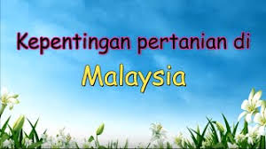 Sektor pertanian pernah menjana pendapatan penting kepada negara sebelum kebangkitan era kegemilangan perindustrian yang dibawa oleh arus pemerintahan tun dr mahathir mohamad melalui dasar perindustrian. Kepentingan Sektor Pertanian Kepada Negara Cute766