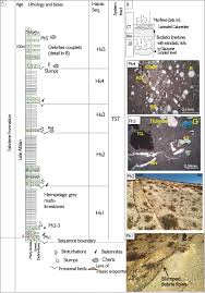 Check spelling or type a new query. Evidence Of Halokinetic Sequences In Albian Deep Carbonates Around Triassic Bodies In The Elkef Tajerouine Area Saliferous Province Of Nw Tunisia Springerlink