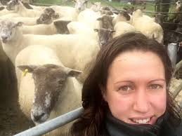 Political chiefs assure worried Devon farmer that post-Brexit future is  bright