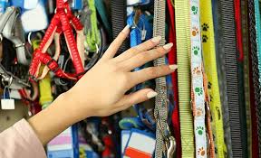 A good shake is as natural to a dog as chewing your. 5 Best Escape Proof Dog Harnesses For Houdini Hounds 2021 Reviews