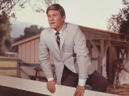 The Horse in the Gray Flannel Suit (1968)