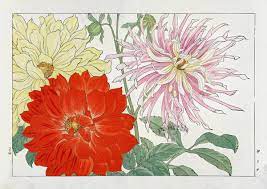 Dahlia Tanigami Konan Western Flower Woodblock Prints 1917 Botanical Prints Japanese Woodblock Printing Vintage Botanical Prints