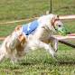 LGRA Race Meet