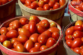Grow robust tomato plants with burpee's high yield tomato seeds today. Your Guide To Growing Great Roma Tomatoes For Cooking Canning