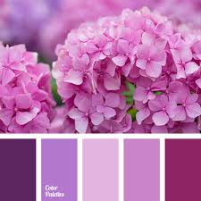 Maybe you would like to learn more about one of these? Pink And Violet Color Palette Ideas