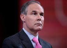 Pin On Causes I Care About