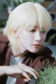 WHO IS YOUR BIAS🤗 ?CAN I KNOW AND WHY ?☺️☺️ #SEVENTEEN17_OFFICIAL  #followforfollowback #follower