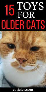 18 Gifts For Older Cats That Make Them Feel Young Again Caticles Senior Cat Care Older Cats Best Interactive Cat Toys