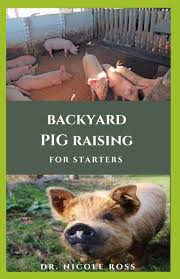 They require minimal attention, and can thrive on infertile or barren land. Backyard Pig Raising For Straters Step By Step Guide And Everything You Need To Know On Raising Pigs Ross Dr Nicole 9798674661566 Amazon Com Books