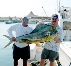 Roosterfish plentiful off Baja Sur fishing beaches, San Carlos charter  boats into early season dorado, Mexico Fishing News, June 2, 2008