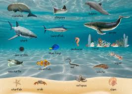 Image result for sea