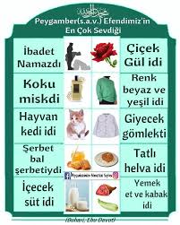 Peygamberimizin Sunnetleri Adli Kullanicinin Peygamberimizin Sunnetleri Panosundaki Pin 2020 Dualar Okuma Calismasi Islam