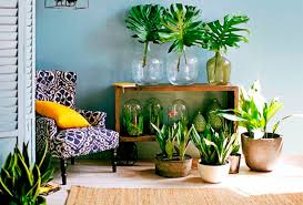 Decoración con flores y plantas artificiales. Decorar Tu Casa Con Plantas Tiene Mas Beneficios De Los Que Te Imaginas