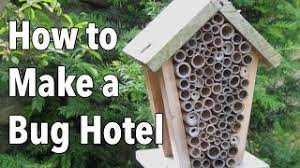 💛 📖 see the growveg book here: Bug Hotel How To Make A Home For Beneficial Insects Youtube