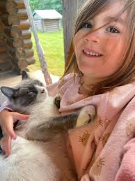 Missing cat in Sagle, Idaho area