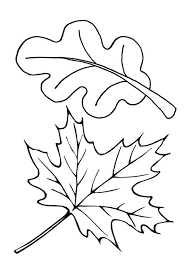 Free Printable Leaf Coloring Page In 2020 Fall Leaves Coloring Pages Fall Coloring Pages Leaf Coloring Page