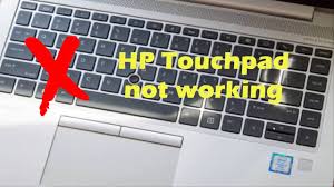 Press and hold the shift key for approximately eight seconds . How Do I Enable My Touchpad On My Hp Laptop Windows 7