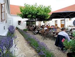 Im zehnten jahr des betriebs seines restaurants gut purbach in purbach am neusiedler see, wurde ihm vom gault millau die dritte kochhaube verliehen. Manfred Horvath Hoffest Bei Max Stiegl Im Gut Purbach