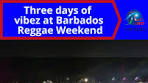 CBC News Barbados | Patrons attending this year’s Reggae ...