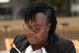 ZAWIMA Advocate Calls for Equity in Zimbabwe's Critical Minerals Bill