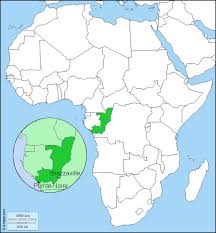 Ces icônes haute définition peuvent être utilisées gratuitement aussi bien à des fins commerciales que non. Drapeau Du Congo