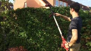 Die hecke, welche viele im eigenen garten besitzen. Heckenschere Mit Verlangerung