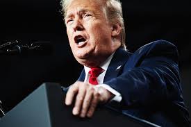 You've seen most of them around the white house and on the campaign trail but some stay out of the spotlight a little. Donald Trump Goes Full Dictator Vows To Stay In Office Regardless Of Election Results Vanity Fair