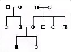 Pedigree Analysis Biol110f2014 Confluence