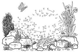 Manche ausmalbilder haben auch eine kleine lustige. Ausmalbild Malen Nach Zahlen Schildkrote Kostenlos Ausdrucken