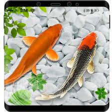 Aquarium live wallpaper by kittehface software lets you have a beautiful tropical fish tank as your live wallpaper. Download Fish Live Wallpaper 2019 3d Aquarium Koi Bgs 1 0 5 Apk For Android Apkdl In