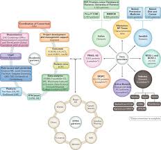 Stan just found out that a friend has prostate cancer. Introducing Pioneer A Project To Harness Big Data In Prostate Cancer Research Nature Reviews Urology