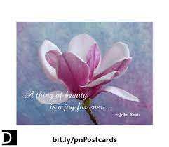 This Lovely Postcard Features A Beautiful Pink And White Chinese Magnolia Flower Set Against A Textured Blue And Pink Quotes Blooming Postcard Magnolia Flower