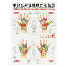 7pcs Set English Hand Foot Ear Body Meridian Points Of Human