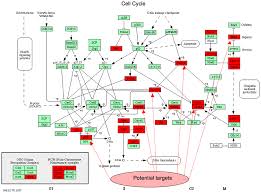 Malignant pleural mesothelioma (mpm) is an aggressive malignancy arising from mesothelial cells lining the pleura. Plos One Genome Wide Profile Of Pleural Mesothelioma Versus Parietal And Visceral Pleura The Emerging Gene Portrait Of The Mesothelioma Phenotype