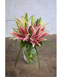 Maybe you would like to learn more about one of these? Bedford Nh Flower Delivery Chalifour S Flowers