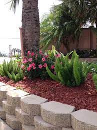 Foxtail Ferns And Dipladenia Front Yard Landscaping Patio Garden Garden Patio Furniture