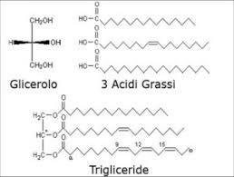 Infine, anguria e banana sono caratterizzate da un indice glicemico alto e insieme ai canditi, alla frutta sciroppata e ai succhi di frutta industriali sono sconsigliati a chi è alle prese con il diabete. Trigliceridi Alti Cosa Sono Cosa Cuasano E Rimedi