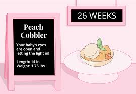 Your baby just keeps growing and growing. 26 Weeks Pregnant Ultrasound Symptoms And More Bitsy Boxes Bitsy Boxes