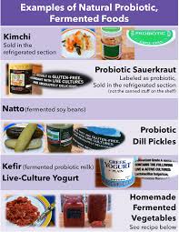 Microbiome Management Natural Sources Of Probiotics Sas Life