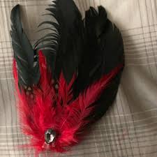 As the daily life for most people is dull. Accessories Red And Black Feather Hair Clip Poshmark