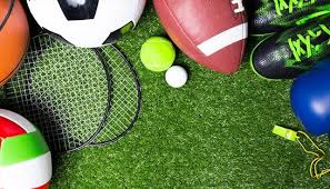 We did not find results for: French Sports Equipment Group Abeo Acquires Dutch Counterpart Bosan