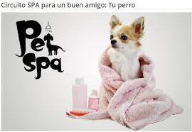 Oferta Que Spa Perros Encuentra Los Mejores Spa Para Tu Perro En Descuenting Mascotas Perros Animales
